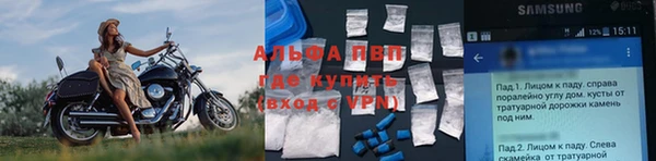 стафф Арсеньев