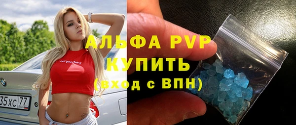 стафф Арсеньев