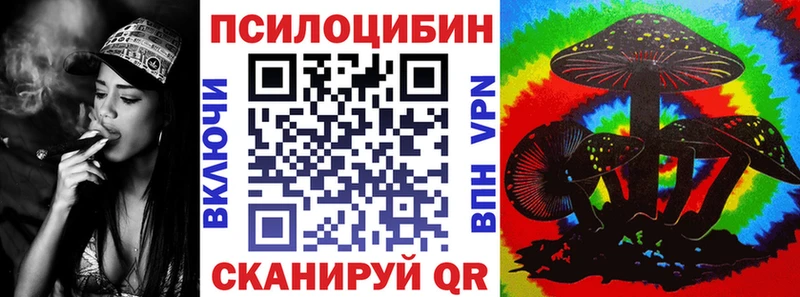 Псилоцибиновые грибы Psilocybine cubensis  Баймак 